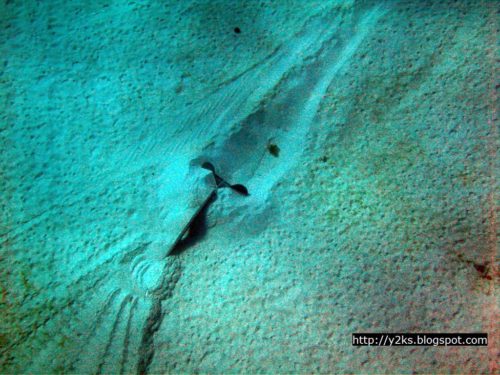 La nostra ancora Delta