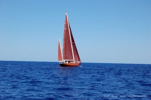 Regata Copa del Rey Panerai