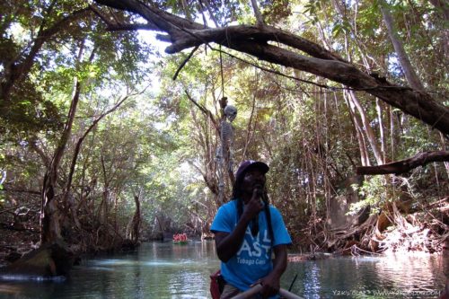 Indian River - Dominica