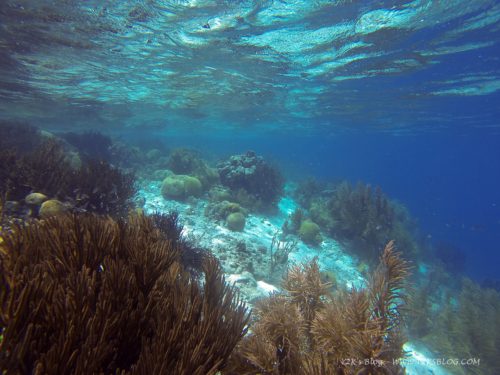 Klein Bonaire