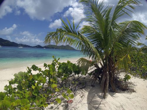 Sandy Island - Carriacou