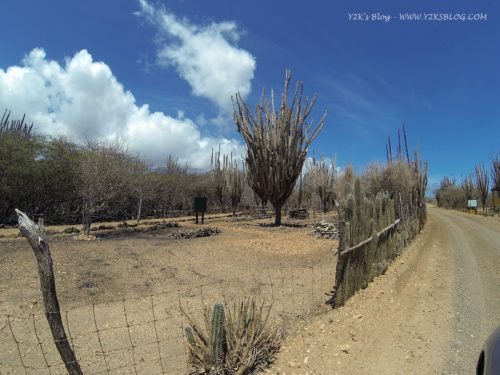 Washington-Slagbaai National Park