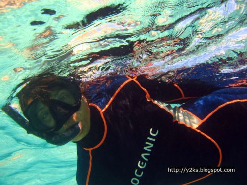 Snorkeling - Isola dei Conigli