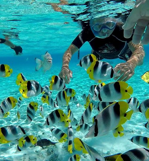Praticamente un acquario - Bora Bora