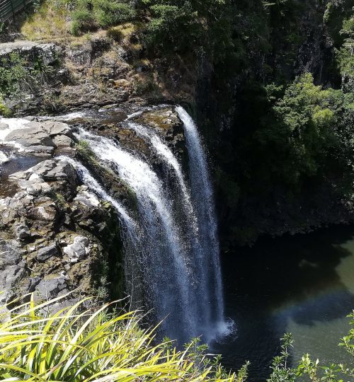 Le cascate di Whangarei
