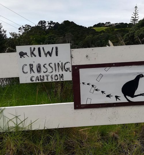I Neozelandesi rispettano molto i Kiwi