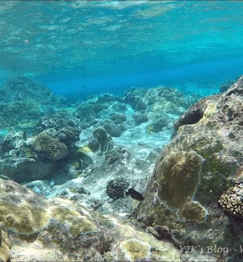 Il mare di Niue